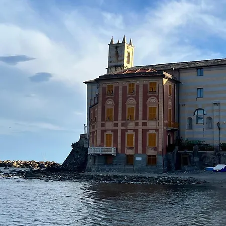 Gianca E Vale *
